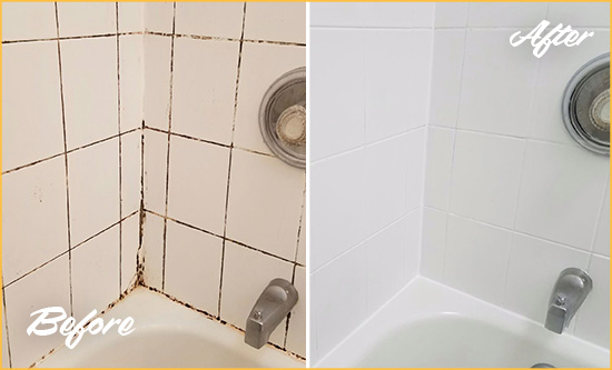 Before and After Picture of a The Crossings Shower Tile and Grout Cleaned to Eliminate Mold